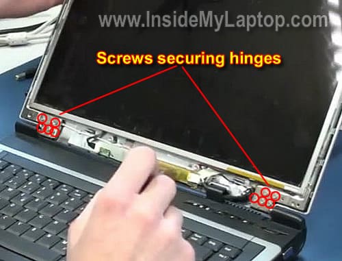 Remove display hinge screws